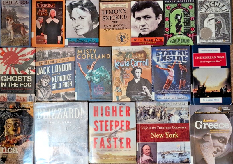 RANDOM Lot of 10 Accelerated Readers AR 7.0-7.9 Chapter Books Teacher Homeschool gallery
