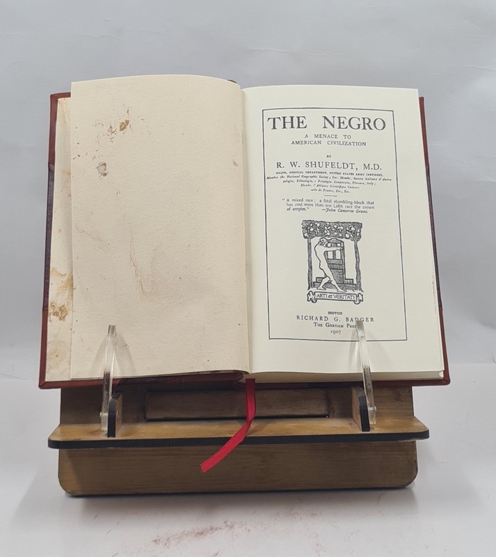 The Negro a menace to American civilization 1907 R. W. Shufeldt [LEATHER BOUND] gallery