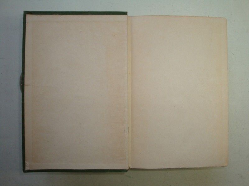 THE SON OF TARZAN, Edgar Rice Burroughs 1918, Second Edition, J. Allen St. John gallery