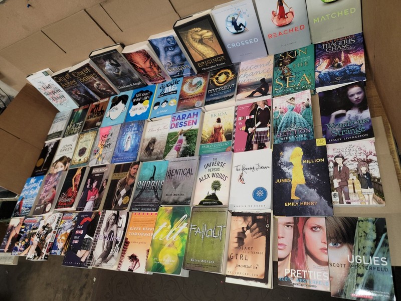 Lot of 20 Young Adults YA PRE-Teen Youth RANDOM STORY CHAPTER UNSORTED BOOKS MIX gallery