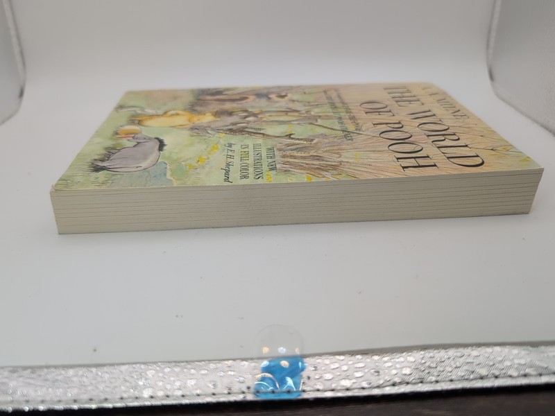 The World Of Pooh by A. A. Milne 1957 Paperback Full Color Illustrations Shepard gallery