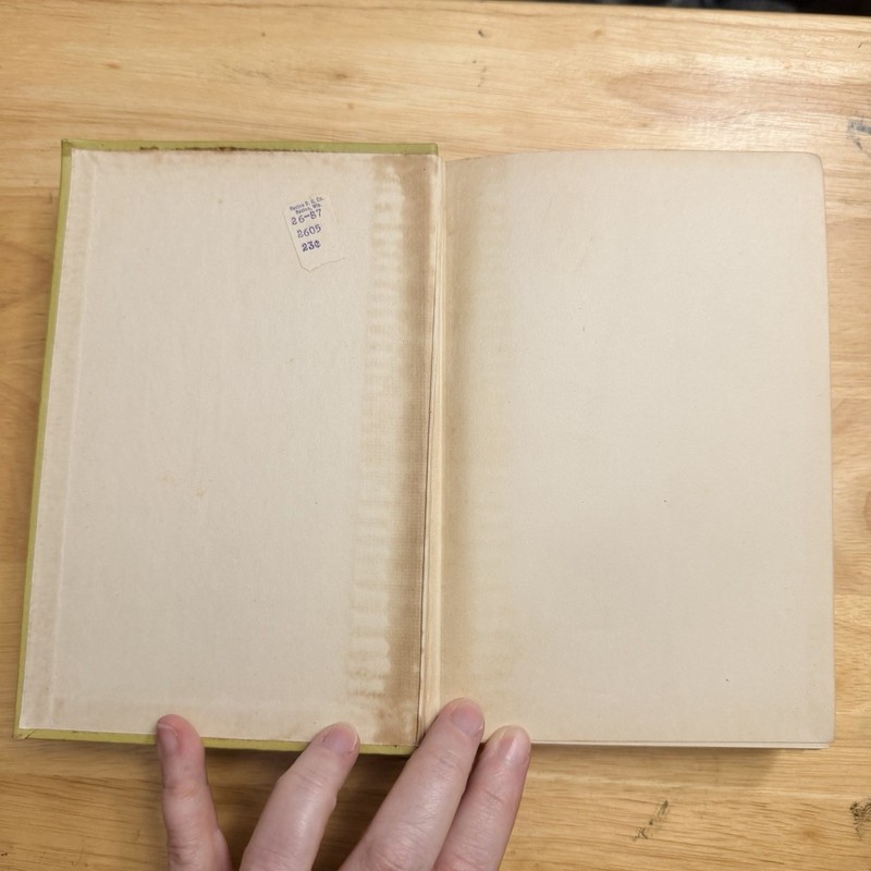 Homeland A Present Day Love Story by Margaret Hill McCarter Hardcover Vtg 1922 gallery