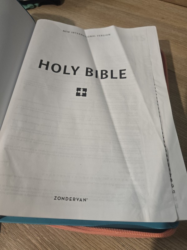 Zondervan Large Print NIV HOLY BIBLE leathersoft turquoise With Zip Open Case gallery