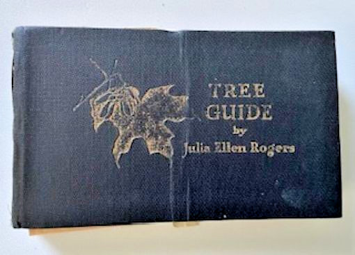 Antique TREE GUIDE by Julia Ellen Rogers, 1929 265 pages, Pocket Size