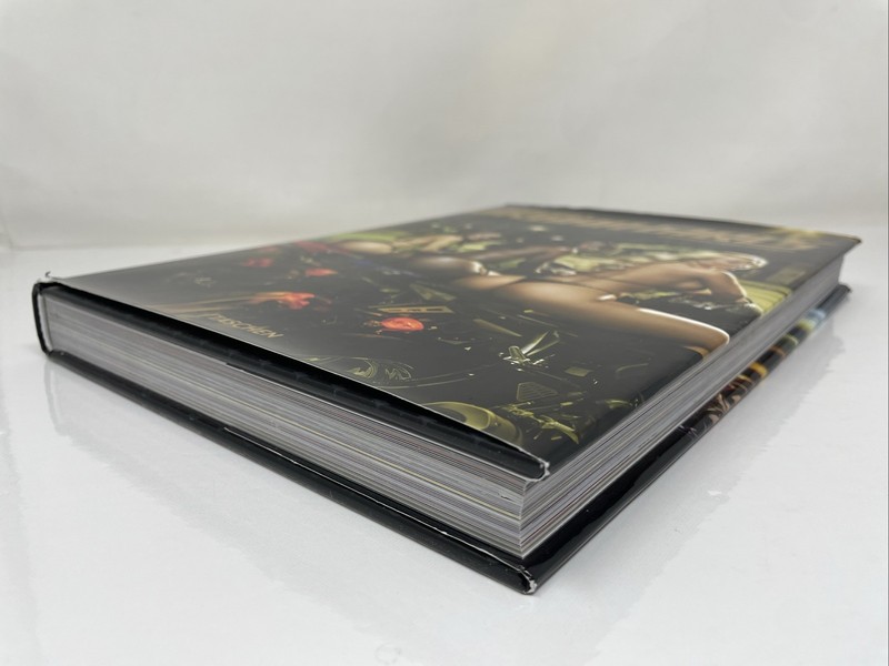 2010 Howard Huang's URBAN GIRLS by Dian Hanson HC/DJ Taschen English gallery