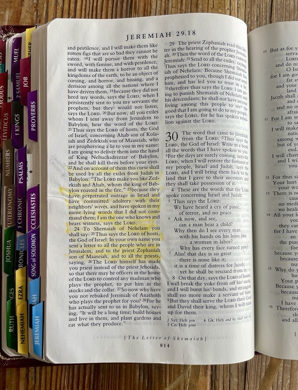 Out of Print Oxford University Press NRSV with Apocrypha (9814A) gallery