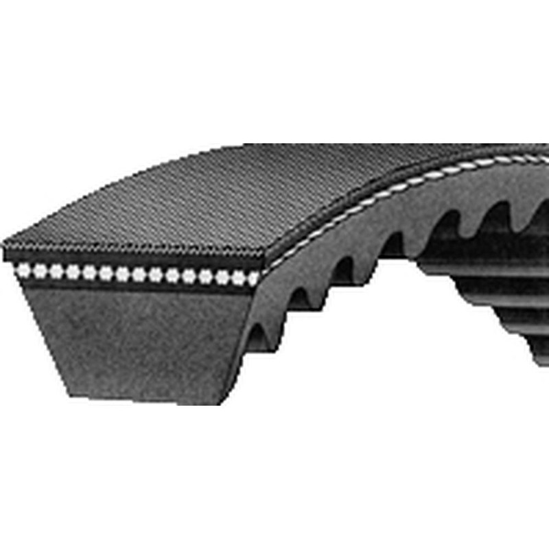 AM9842660 Belt – A/C Compressor/Alternator