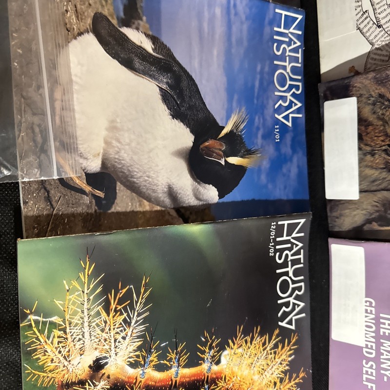 Natural History Magazines 2001 Lot Of 9 Vintage gallery