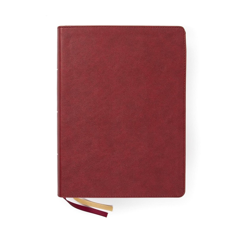 CSB Holy Land Illustrated Bible, Burgundy LeatherTouch, Indexed, Black Lette…