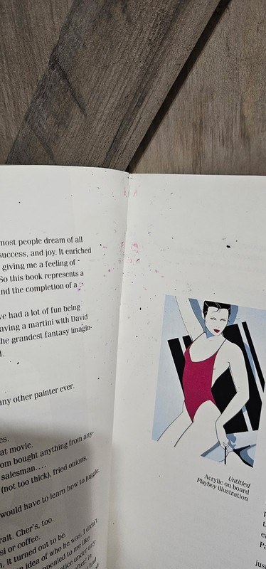 Nagel: The Art of Patrick Nagel First Perennial Library Edition 1985 gallery