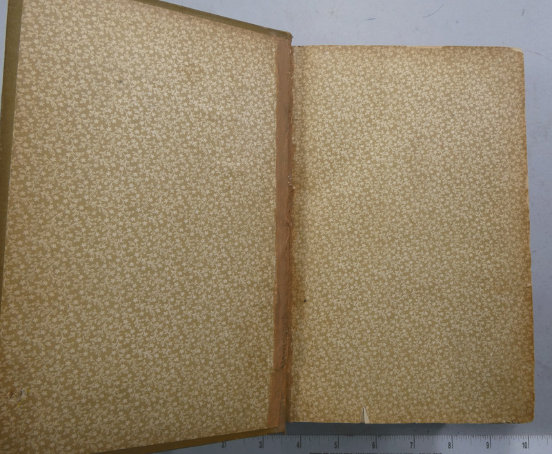 On a Mexican Mustang through Texas by Sweet & Knox 1883 Illustrated 1st edition gallery