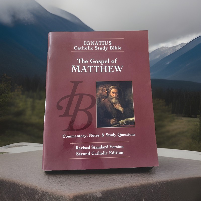 The Gospel According to Matthew (Ignatius Catholic Study Bible) by Hahn, Scott