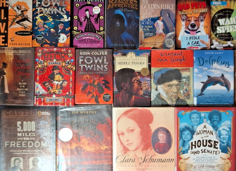RANDOM Lot of 10 Accelerated Readers AR 7.0-7.9 Chapter Books Teacher Homeschool