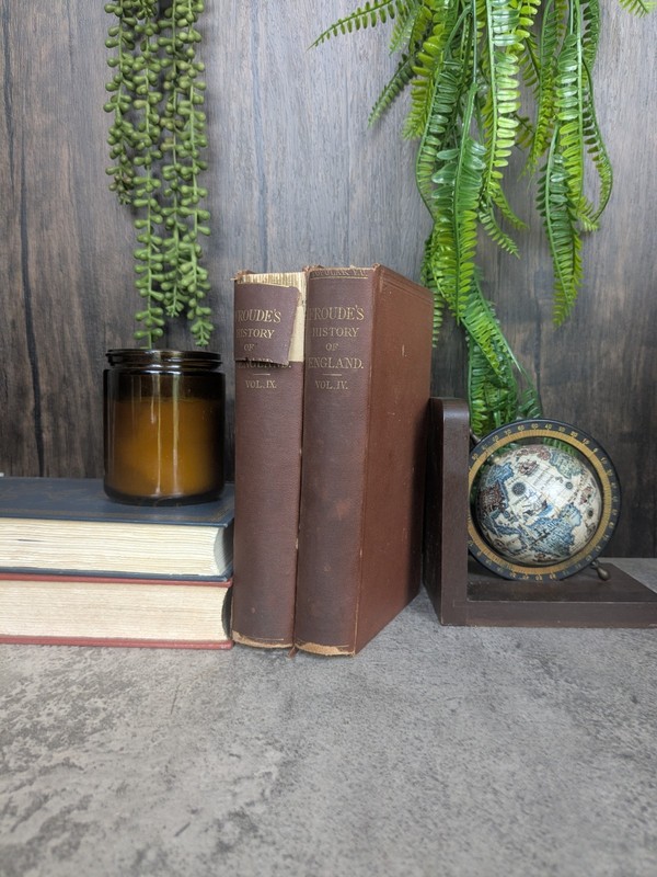 History Of England 1870 J.Froud Vol 4 And 9 Fall Of Wolsey To Death Of Elizabeth