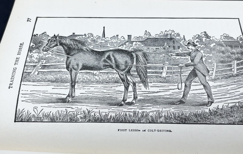 1918 HOW to HANDLE & EDUCATE VICIOUS HORSES-205 Pages-Oscar Gleason-Illustrated
