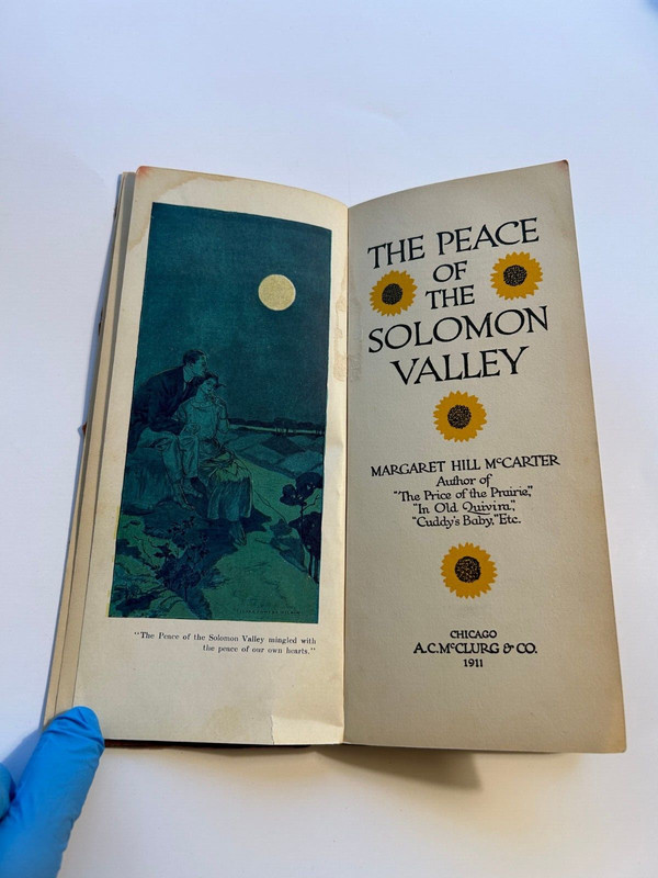 The Peace of The Solomon Valley, Antique Original 1911, Margaret Hill McCarter