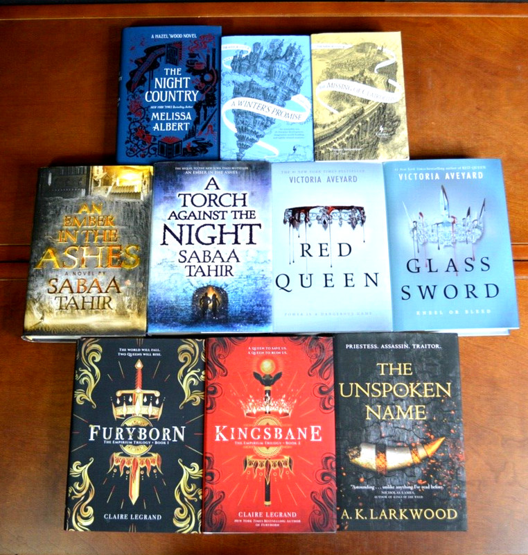 Lot 10 Bestselling TikTok Book Tok Books NYT Best Seller Furyborn Glass Sword L1 gallery