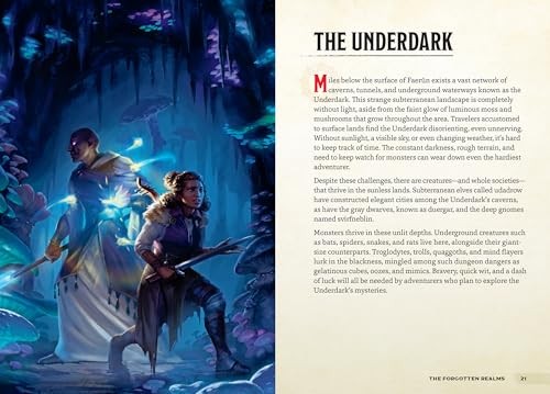 Places & Portals (Dungeons & Dragons): A Young Adventurer's Guide (Dungeons & Dr gallery