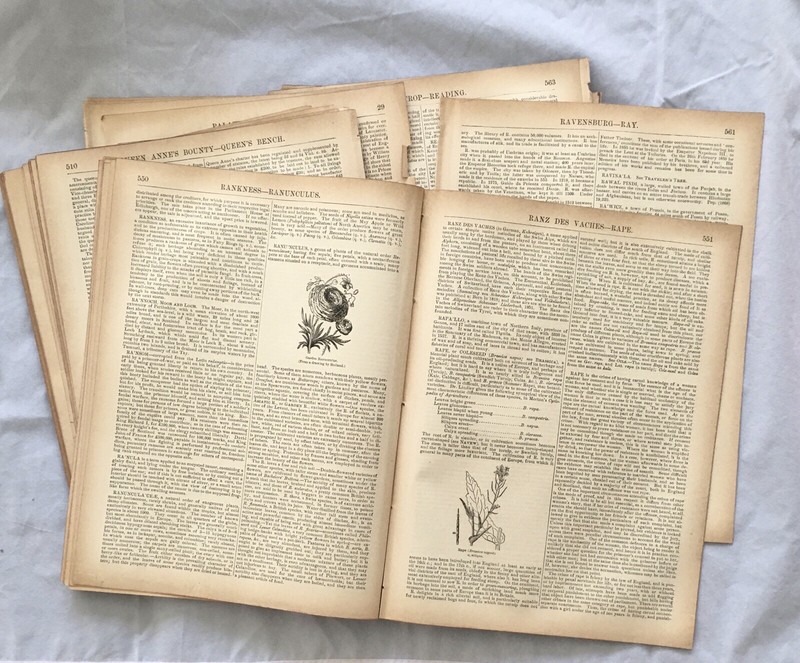 90+ Pages (1 lb) from Antique 1880s Books • Scrapbook, Art • Aged Paper Lot gallery