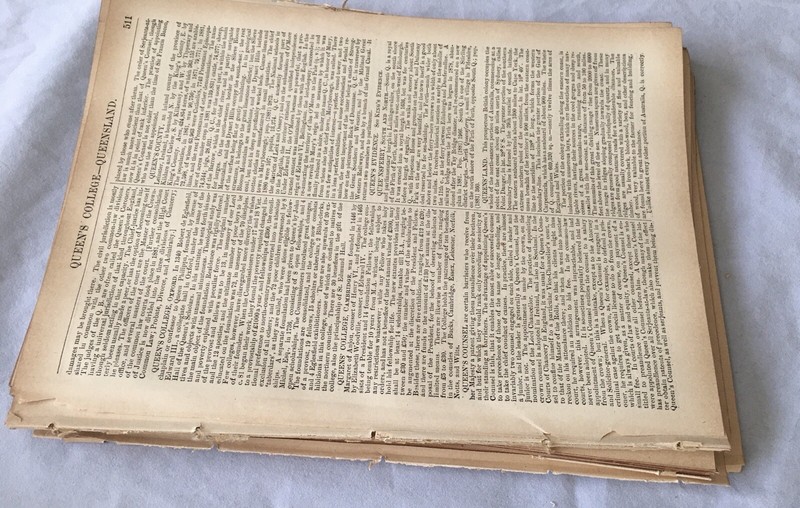 90+ Pages (1 lb) from Antique 1880s Books • Scrapbook, Art • Aged Paper Lot gallery