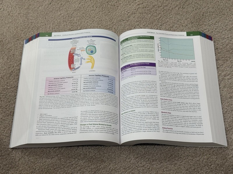 Wong's Nursing Care of Infants and Children by Marilyn J. Hockenberry (2023,... gallery
