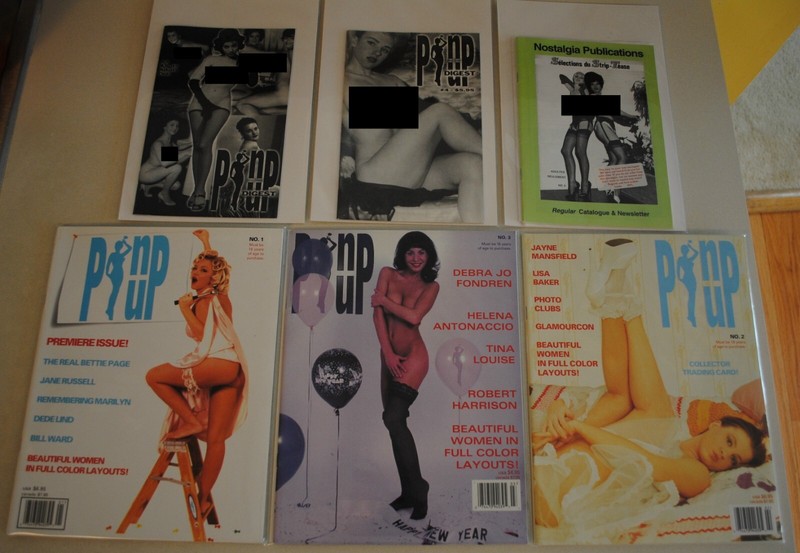 Pin-up Magazine #1,#2 and #3. Pin-up Digest #3,#4 by Draculina Publishing. gallery