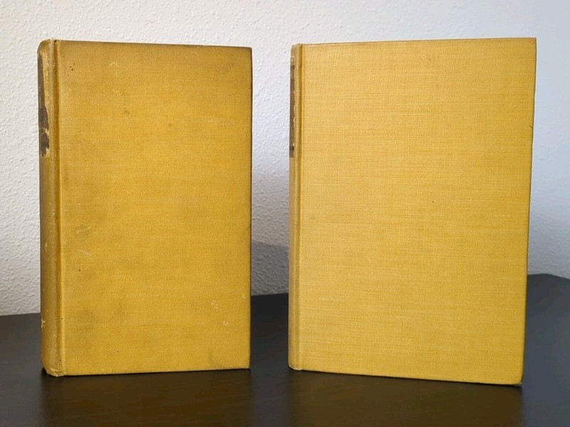 Arthur Machen 1st Edition Lot – Things Near and Far 1923 + Dog Duck 1924