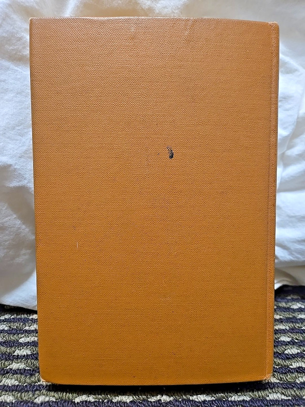 Chevrons by Leonard H. Nason 1926 HC George H. Doran Co. gallery