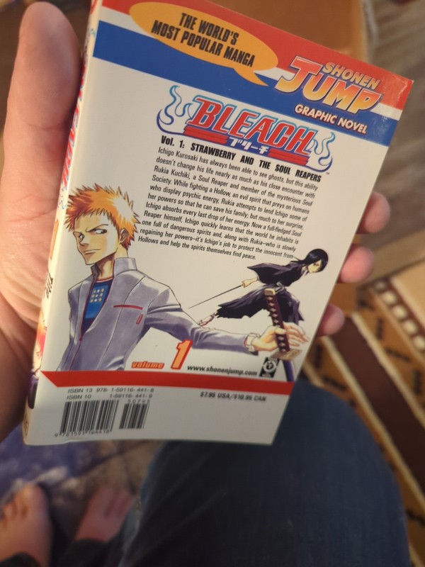 Bleach, Vol. 1 - paperback Tite Kubo gallery