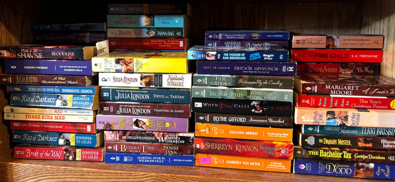 LOT OF 10 PAPERBACKS ROMANCE SUSPENSE THRILLER ACTION PARANORMAL NICE ASSORTMENT gallery