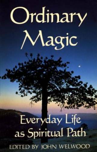 Ordinary Magic: Everyday Life as Spiritual Path – Paperback – GOOD