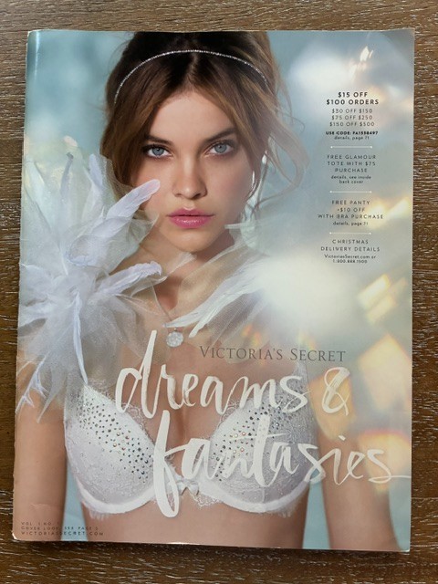 Victoria’s Secret Dreams & Fantasies 2013 Catalog Barbara Palvin ~ Swanepoel