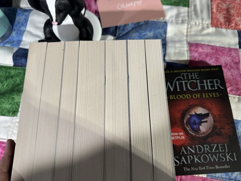The Witcher Complete Series By Andrzej Sapkowski 8 Books Box Set Collection - PB gallery