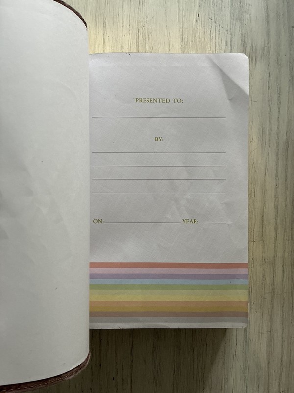 NIV Rainbow Study Bible Cocoa/Terra Cotta/Ochre LeatherTouch Bold Line Holman gallery