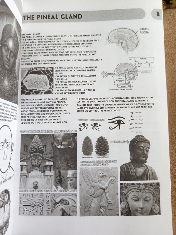 Health Guide 20 + Book of Wisdom Vol 1 & 2 by Harry B. Joseph – 3 Book BUNDLE gallery