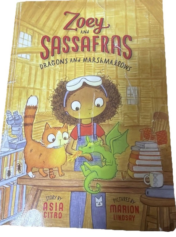Zoey and Sassafras: Dragons and Marshmallows Paperback Ok
