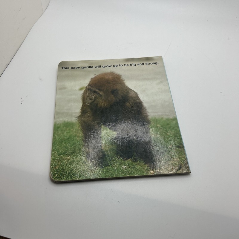 A Golden Book Baby Animals gallery