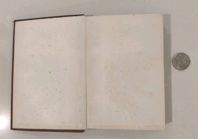 A Voyage Up The River Amazon 1847 First Edition William H Edwards Antique RARE gallery