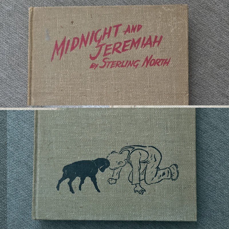 Sterling North Midnight and Jeremiah Hardcover 1943 Winston Kurt Wiese 1st Ed