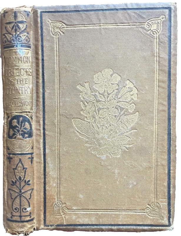 Common Objects of the Country by J.G. Wood 1858 w10 Coleman COLOR PLATES Scarce