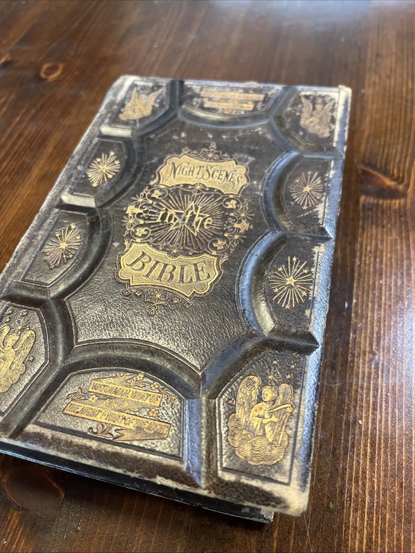 1870 Night Scenes In The Bible Illustrated Leather Gilded Edges by Rev. D. March gallery