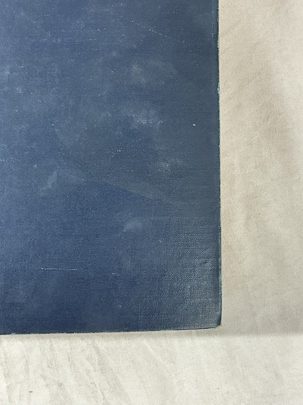 Andrew Johnson: Plebeian and Patriot by Robert W. Winston Hardcover 1928 gallery