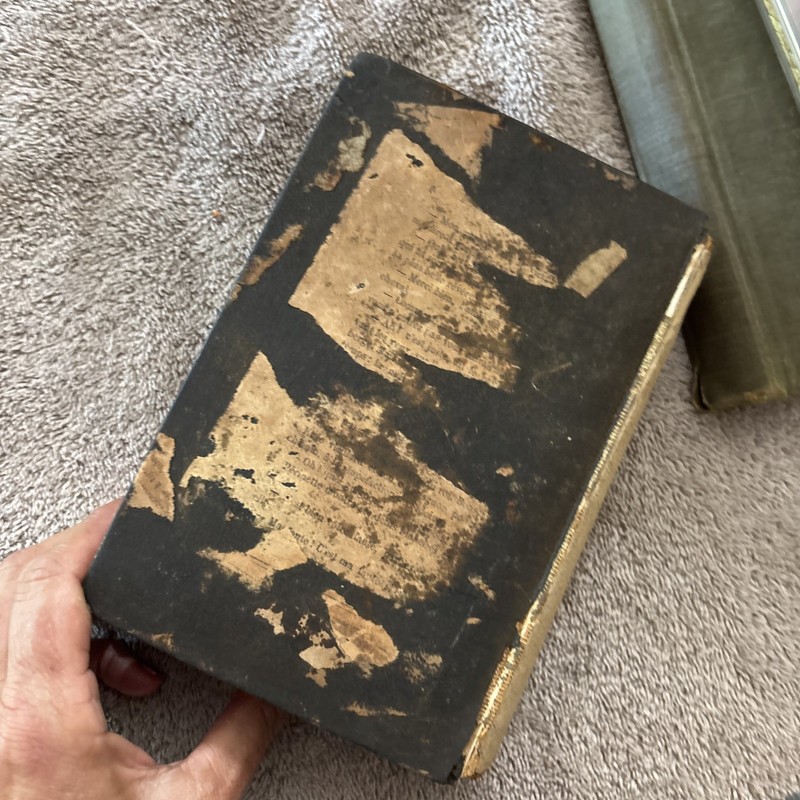 Vintage 1892 Every Day Cook Book & Encyclopedia of Practical Recipes, Neil gallery