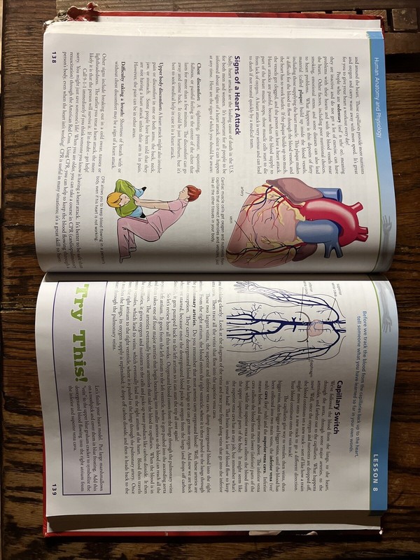 Exploring Creation with Human Anatomy and Physiology : Continuous... gallery