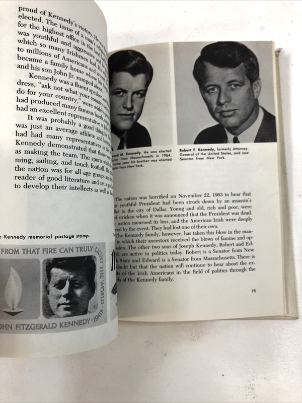 The Irish in America - James E. Johnson (Hardcover, 1968) gallery