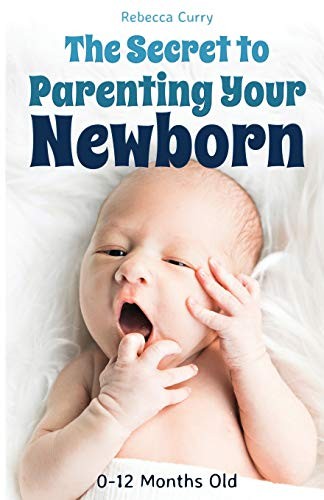 THE SECRET TO PARENTING YOUR NEWBORN: 0-12 MONTHS OLD By Rebecca Curry BRAND NEW