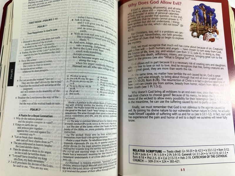 The New Catholic Answer Bible NAB Revised Edition Red Faux Leather Flexibound gallery