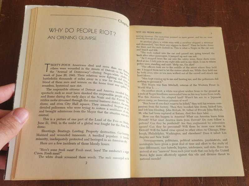 Race Riot - Alfred M. Lee & Norman D. Humphrey - 1943 PB Detroit Civil Rights gallery