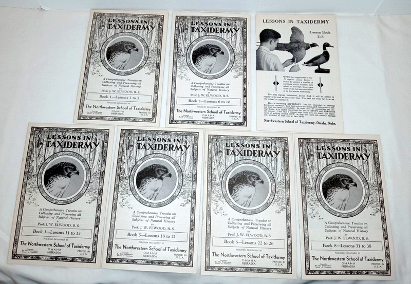 Vintage Lessons in Taxidermy Animal Wildlife Stuffing Display Fur 1-3, 5-6, 8