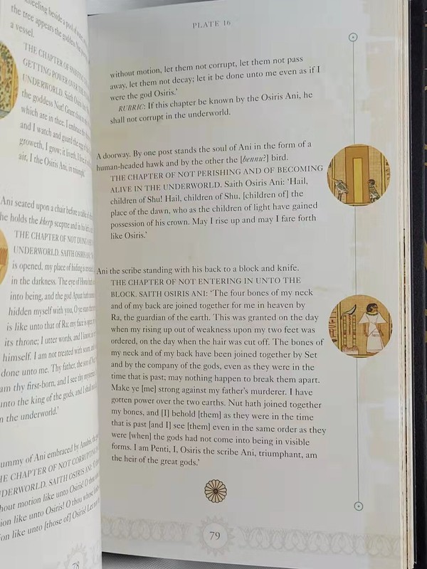 THE EGYPTIAN BOOK OF THE DEAD Deluxe Silk Bound Slip-cased Illustrated NEW GIFT gallery
